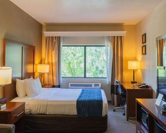 Comfort Inn North - Air Force Academy Area - Colorado Springs - Soverom