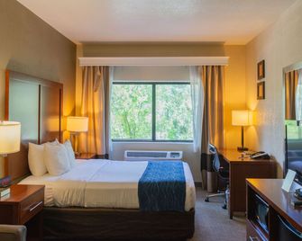 Comfort Inn North - Air Force Academy Area - קולרדו ספרינגס - חדר שינה