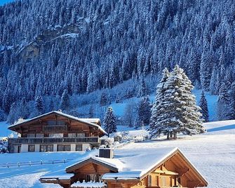 Hotel Le Grand Chalet Gstaad - Gstaad