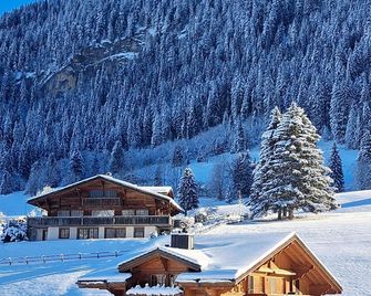 Hotel Le Grand Chalet Gstaad - Gstaad