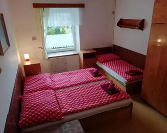 Penzion Rudolfovna - Železná Ruda - Habitación