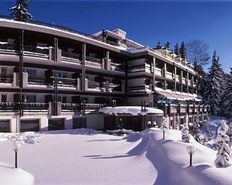 Hôtel de la Forêt - Crans-Montana - Gebouw