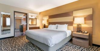Quality Inn and Suites Mayo Clinic Area - Rochester - Schlafzimmer