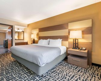 Quality Inn and Suites Mayo Clinic Area - Rochester - Soverom