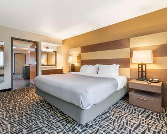 كواليتي إن آند سويتس مايو كلينيك آريا - روتشيستر - غرفة نوم