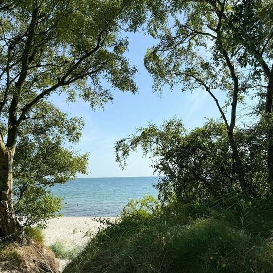 Holiday Home By Forest And Beach On Bornholm – Nexø