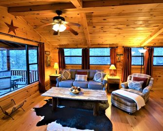 Romantic Couples' Hide-Away- Remodel & Refurbishment w/ WiFi on Toccoa River - Mineral Bluff - Living room