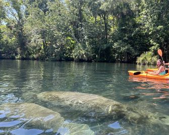 Private Tropical Waterfront Sanctuary w pool, hot tub & an island! Pet Friendly - New Port Richey