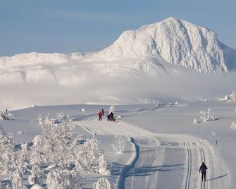 Leilighet Beitostølen sentrum, terrasse og innendørs parkering - Beitostølen - Prestation de l’hébergement