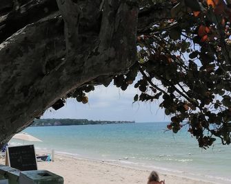 Yoga Dreams Negril - Negril - Playa
