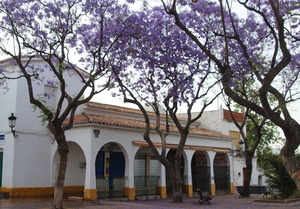 B&b, Double Glazing, 10 Minutes Drive From MÁlaga Airport, Maximum 4 Nights - ملقة - مبنى