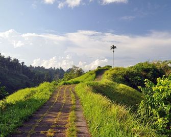 Sabana Ubud - Denpasar