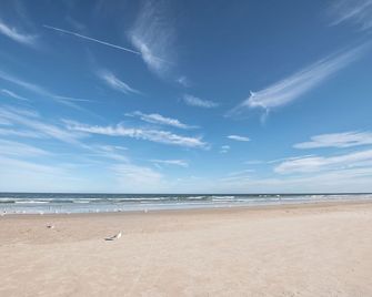 Sunny Side Up! - Direct Oceanfront Condo - End Unit - Crescent Beach, Saint Augustine Florida - St. Augustine - Beach