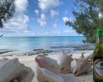 Spacious Airy Beachfront House On Grand Turk - Cockburn Town - Strand