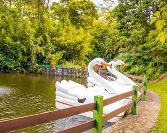 Hotel Caminhos de Itaipava - Petropolis