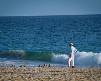 Small Luxury Hotel, Hideaway Near Acapulco on the Beach - Coyuca de Benitez - Playa