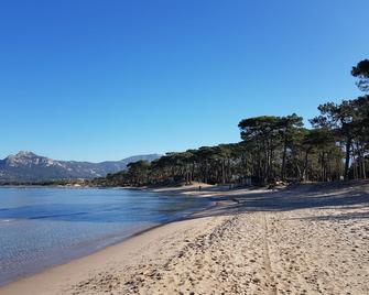 50 m2 apartment with terrace on the ground floor of a villa - Calvi - Strand