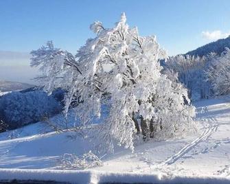 Spacious apartment in the High Vosges - Cornimont - Prestation de l’hébergement