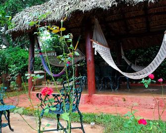 Villa Paradiso Marilin y Yuri - Viñales - Patio
