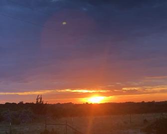 Wake up with wild flowers and wildlife - Glen Rose - Outdoors view