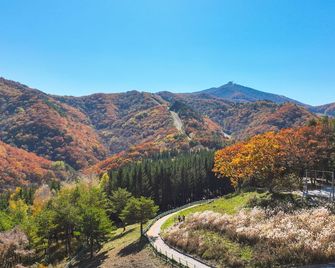 Mona Yongpyong - Pyeongchang - Outdoor view
