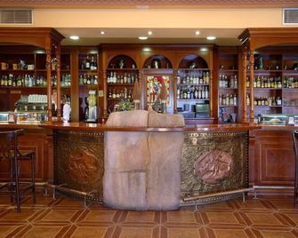 Hotel Castillo Bonavia - Pedrola - Bar