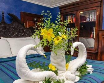 Mahogany Hall Luxury Boutique Resort - San Ignacio - Bedroom
