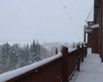 Grand Ely Lodge - Ely - Balcon