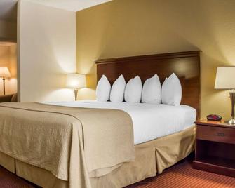 Quality Hotel Americana Nogales - Nogales - Slaapkamer