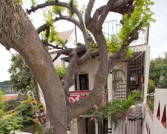 Hotel Casa Blanca Ajijic - Ajijic - Venkovní prostory