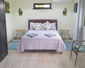 Top Rated - Stunning Lake View Arenal Suite - Tronadora - Habitación