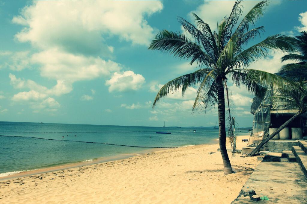 كوزي بنجالو فو كوك