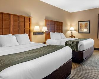Comfort Inn and Suites Chillicothe - Chillicothe - Slaapkamer