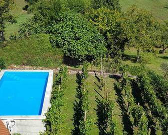 B&B il Feudo - Vicalvi - Piscina