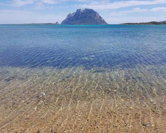 Terry's House - Nuoro