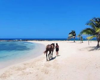 Blue Song Villa - Rio Bueno - Beach