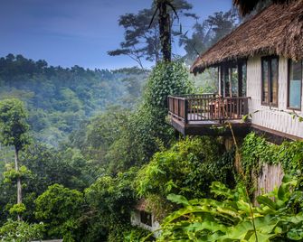 Nandini Jungle by Hanging Gardens - Payangan - Outdoor view