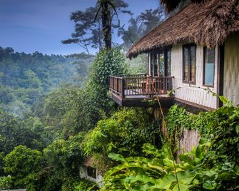 Nandini Jungle by Hanging Gardens - Payangan - נוף חיצוני