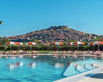 Hotel Delfinia - Míthymna - Pool
