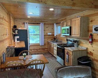 Shady Rest Cabin #1, Sunset Views, Beach, Pets Welcome, Swimming, Firepit - Rhinelander - Kitchen