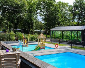 Stylish Chalet in the Woods - Hoenderloo - Zwembad