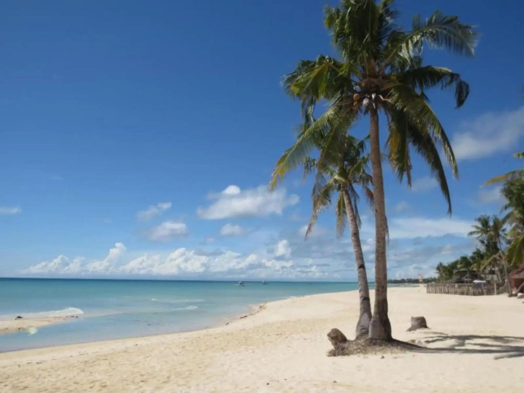 Sunday flower hotel and beach resort