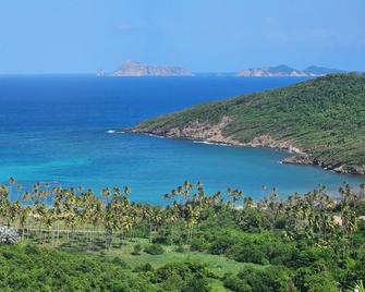 Charming, bright studio apt. with view of the Caribbean Sea, 1-2 guests - St Vincent