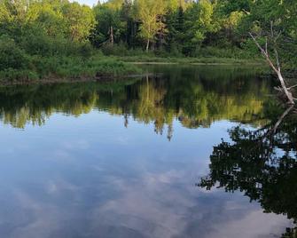 Secluded 10 Acre Cottage With Canoes, Kayaks and Fun! - Burk's Falls - Outdoors view