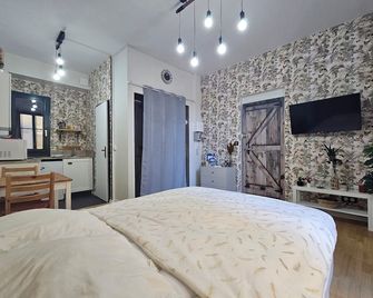 Studio hypercentre 2 étoiles - Aix-les-Bains - Bedroom