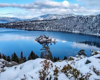 Elk Forest Escape - Economy Family Abode - South Lake Tahoe