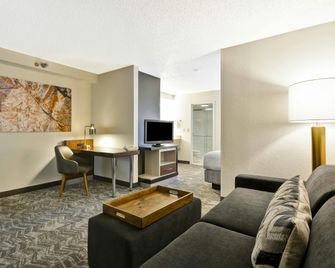 سبرينغهيل سويتس باي ماريوت سان أنتونيو ميديكل سنتر/ إن دبليو - سان انطونيو - غرفة معيشة