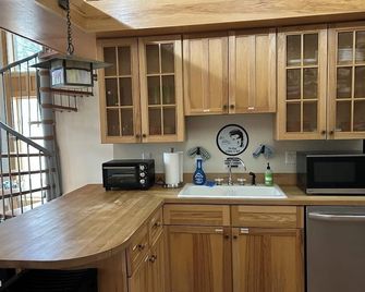 Secluded studio getaway- only 4 miles from Downtown Iowa City - Iowa City - Kitchen
