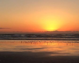 Moclips Sand Dollar Beach House - Beautiful Beach Front Home - Moclips - Beach