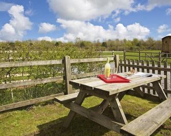 Cloverwell - Kingsbridge - Patio